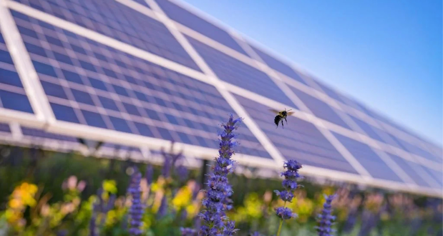 Italy’s Whysol bags financing for 328MW agriPV, energy storage portfolio