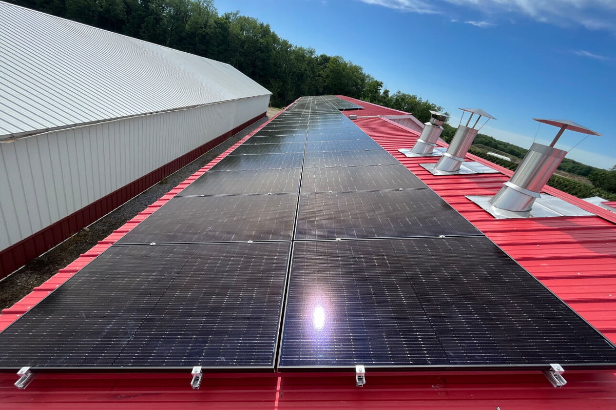 The highest temperature is 49℃! Photovoltaic power generation is making a fortune? Rumor!