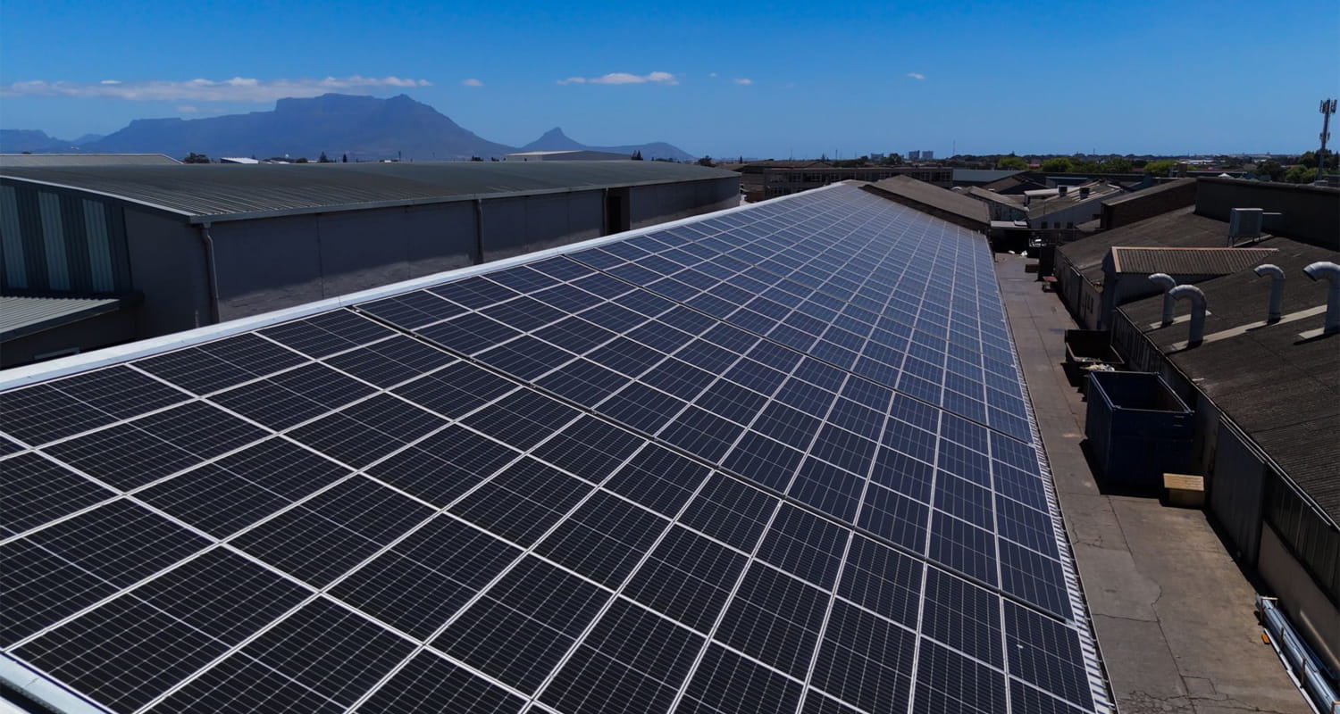 From Resting Places to Renewable Powerhouses: A Green Burial Revolution