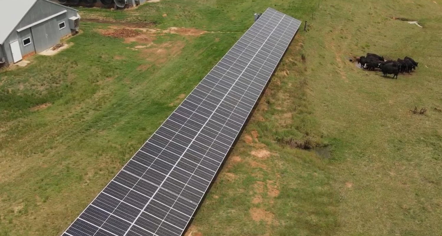 Huge photovoltaic modules, in danger!